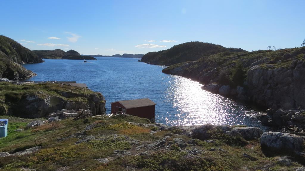 The Old Salt Box Co. - Daisy'S Place Herring Neck المظهر الخارجي الصورة